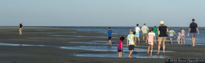 Capers Island State Heritage Preserve