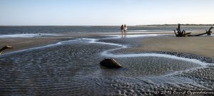 Capers Island State Heritage Preserve