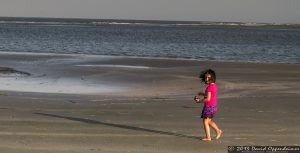 Capers Island State Heritage Preserve