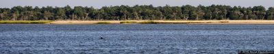 Capers Island State Heritage Preserve