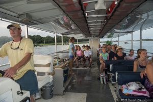 Dolphin Discovery Sunset Cruise