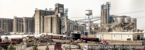 Great Western Malting Company Plant