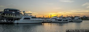 Isle of Palms Marina