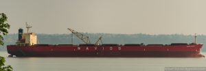 Navios Felicity Bulk Carrier Vessel Ship