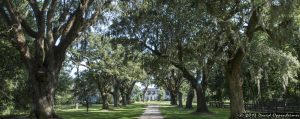 Oakland Plantation House in Mount Pleasant, South Carolina