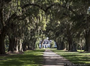 Oakland Plantation House in Mount Pleasant, South Carolina