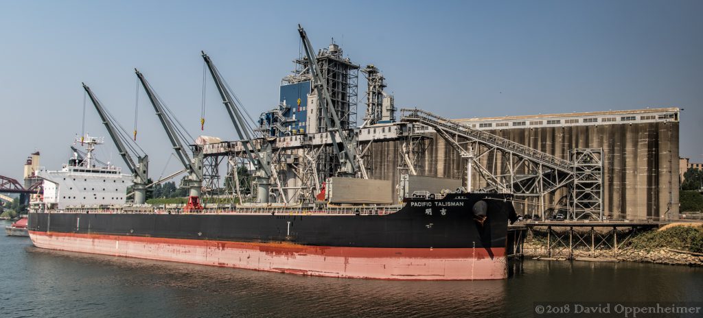 Pacific Talisman Cargo Ship