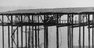 Pier Reflection