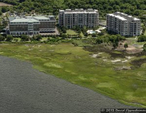 Renaissance on Charleston Harbor and Motley Rice Building