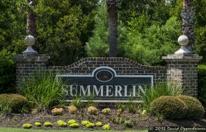 Summerlin at Park West - Mount Pleasant Real Estate