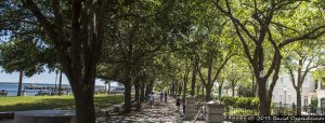 Waterfront Park in Charleston