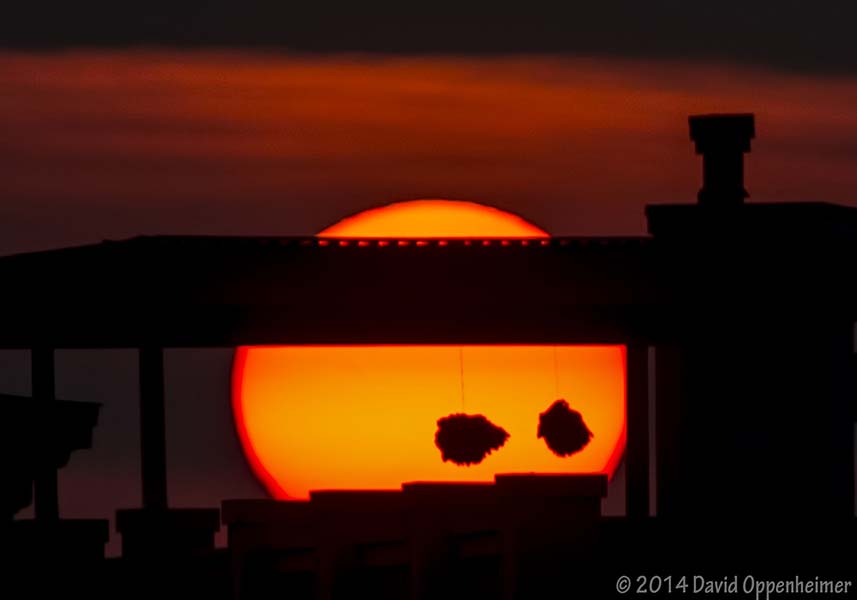 beautiful sunset at isle of palms south carolina