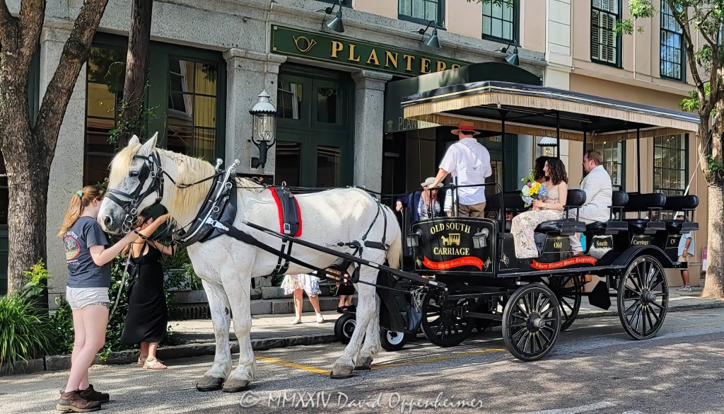 Horse-drawn carriage for a wedding at the Planters Inn in Charleston, South Carolina - © 2024 David Oppenheimer - Performance Impressions photography archives - https://performanceimpressions.com horse-drawn carriage, horse & buggy, carriage, wedding, Planters Inn, historic, old fashioned, horse & carriage, ride, historic district, downtown, weddings, 112 N Market St, Charleston, SC, 29401, inn, Charlestowne Hotels, architecture, building, hotel, resort, luxury, weddings, Charleston, South Carolina, David Oppenheimer, David Gordon Oppenheimer, United States, horizontal, color, 1-13726821381,