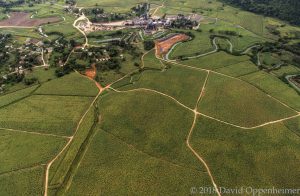 Appleton Estate in Jamaica Aerial Photo