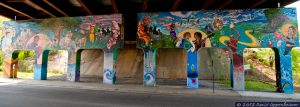 Asheville Mural Project under Highway 240 Bridge