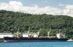 Atlantic Venus Bulk Carrier Ship at Port in Ocho Rios, Jamaica