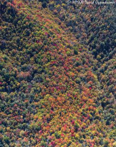 Autumn Colors aerial view Grandfather Mountain NC 8529 scaled