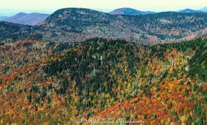 Fall Colors along the Blue Ridge Parkway below the Black Balsams on Mount Hardy and Green Knob Aerial View