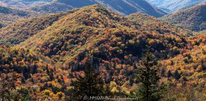 Autumn Colors Along the Blue Ridge Parkway