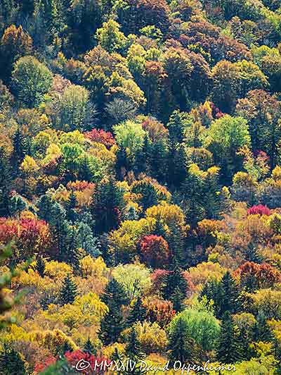 Blue Ridge Parkway Scenic Drives 2023