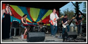 Chris Harford and the Band of Changes at Bonnaroo