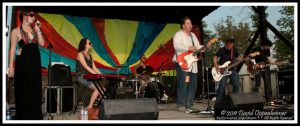 Chris Harford and the Band of Changes at Bonnaroo