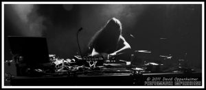 Bassnectar at Bass Center 2 - Lorin Ashton