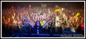 Bass Center 2 Photos - Bassnectar Festival