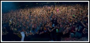 Bassnectar - Lorin Ashton at the 2010 Bonnaroo Music Festival