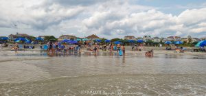 Beach at Wild Dunes Resort on Isle of Palms