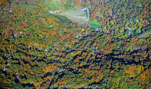 Beaverdam Valley in North Asheville with Autumn Colors Aerial View