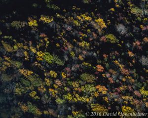 Blue Ridge Parkway Fall Colors Aerial