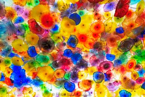Bellagio Hotel & Casino Glass Flower Sculpture Fiori di Como by Dale Chihuly