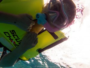 Snorkeling at Fowey Rocks Lighthouse