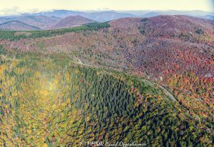 Black Balsam Knob Blue Ridge Parkway autumn colors aerial view 7245