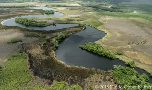 Black River in Jamaica Aerial