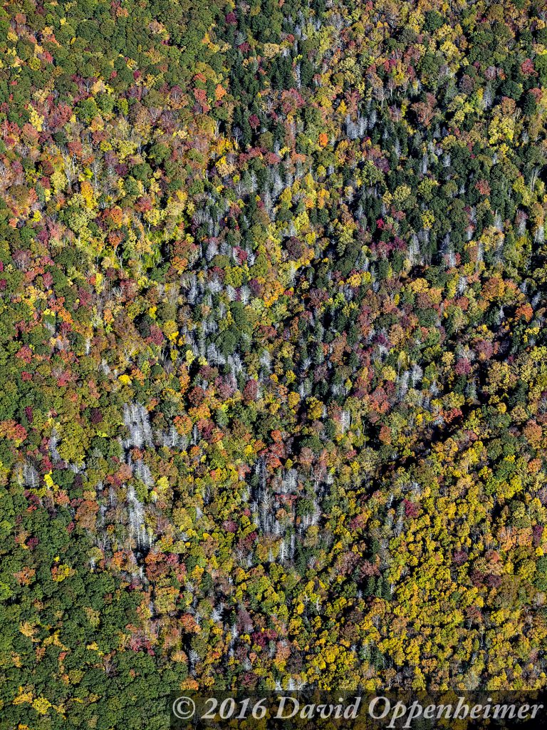Blue Ridge Parkway Fall Colors Aerial