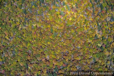 Blue Ridge Parkway Fall Colors Aerial