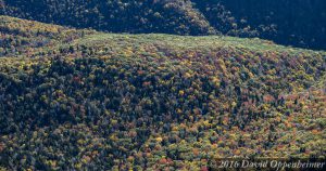 Blue Ridge Parkway Fall Colors Aerial