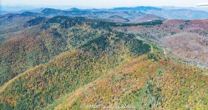 Blue Ridge Parkway Aerial View with Autumn Colors