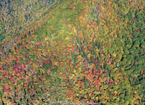 Blue Ridge Parkway Autumn Colors Fork River Bald aerial view 7096