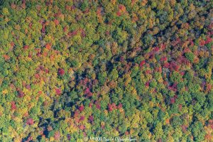 Blue Ridge Parkway Craggy Gardens Mineral Creek vertical aerial peak autumn colors 9119 scaled