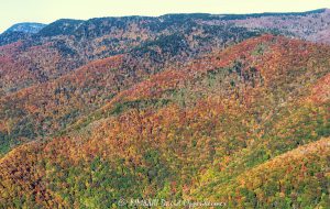 Blue Ridge Parkway by Fork River Bald and Black Balsam Knob with Autumn Colors in the mountains Western North Carolina Aerial View