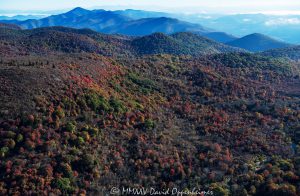 Blue Ridge Parkway Graveyard Fields Graveyard Ridge autumn colors aerial view 7149