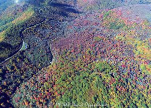 Blue Ridge Parkway Graveyard Fields aerial view 8033