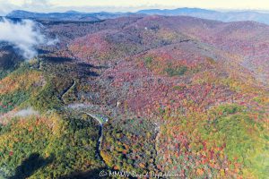 Blue Ridge Parkway Graveyard Fields aerial view 8039