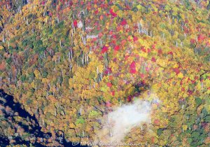 Blue Ridge Parkway Haywood County Dark Prong Autumn Colors Aerial View 7042