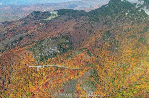 Linn Cove Viaduct on the Blue Ridge Parkway below Grandfather Mountain State Park with Autumn Colors in Western North Carolina Aerial View