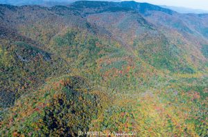 Blue Ridge Parkway Aerial View with Autumn Colors Below Richland Balsam