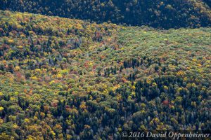 Blue Ridge Parkway Fall Colors Aerial